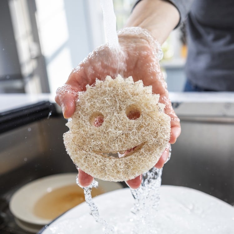 Scrub Daddy CocoMesh Scrubber | scrubdaddy Selection | Scrubdaddystart 813D - Image 2
